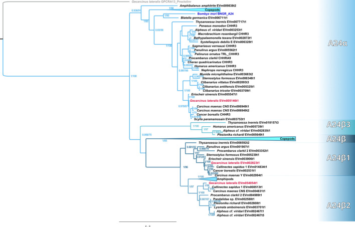 Figure 3