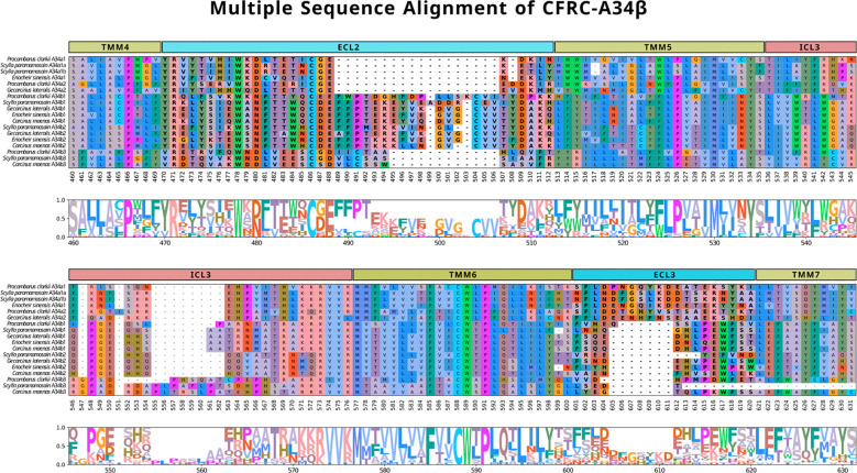 Figure 6