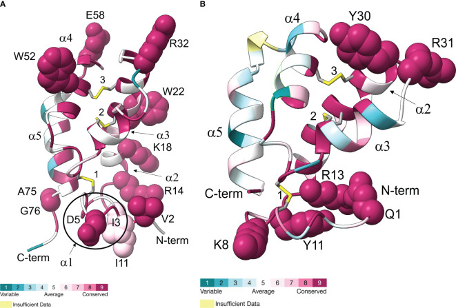 Figure 7