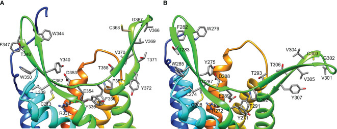 Figure 10