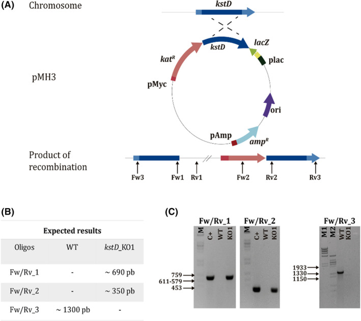 Figure 6