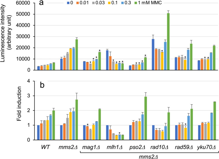 Figure 6