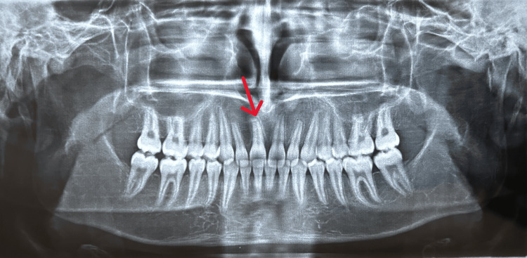 Figure 7