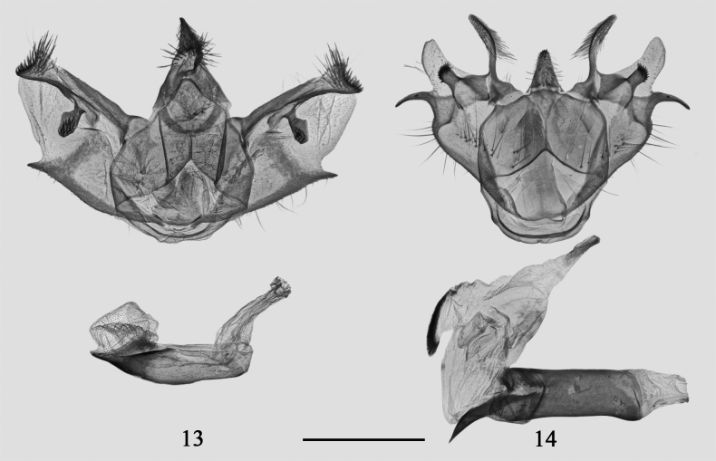 Figures 13, 14