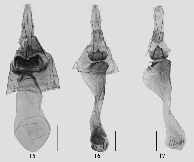 Figures 15–17