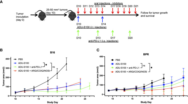 Figure 2