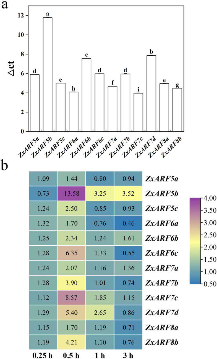 Figure 5