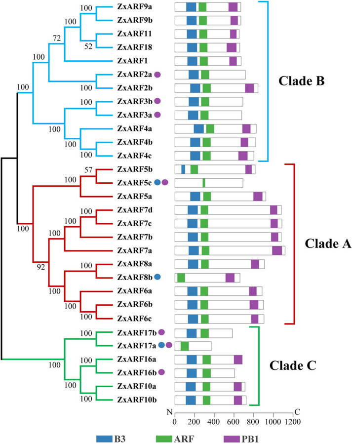 Figure 6