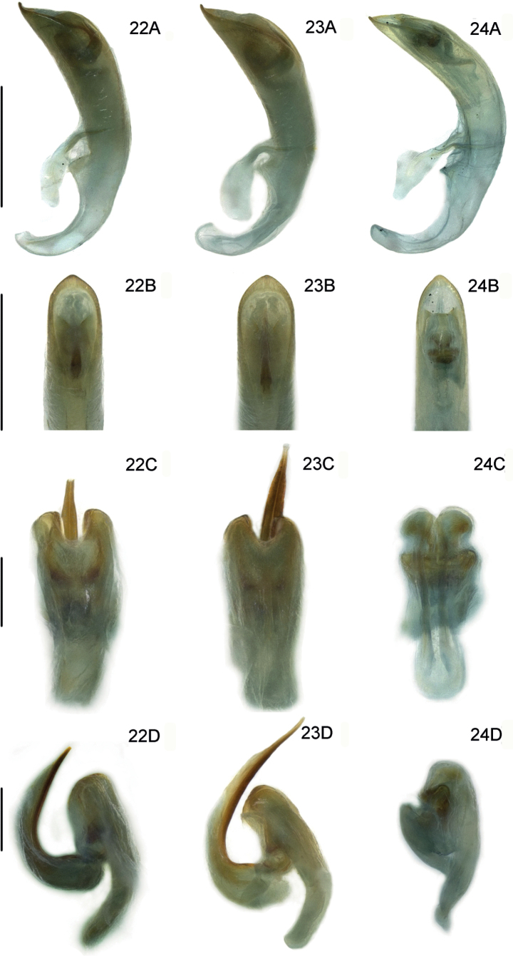 Figures 22–24