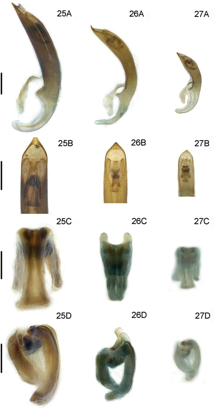Figures 25–27