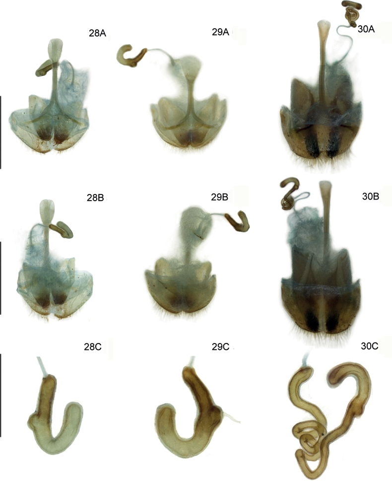 Figures 28–30