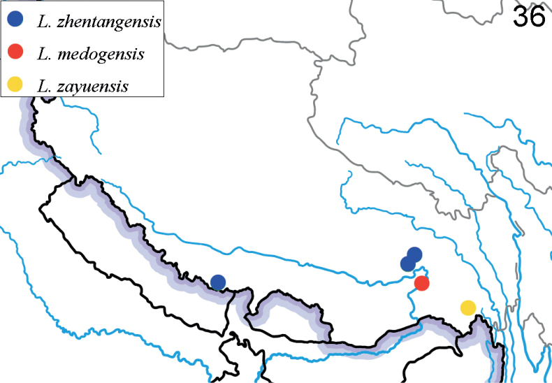 Figure 36