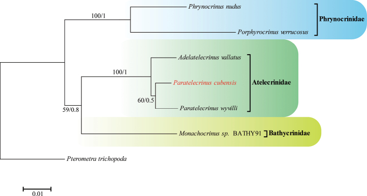 Figure 7