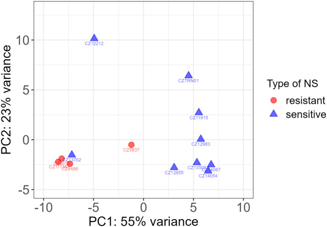 FIGURE 3