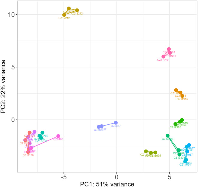 FIGURE 1
