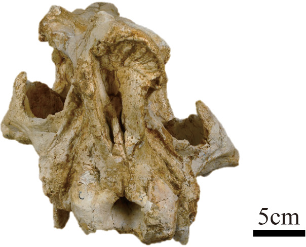 Figure 2