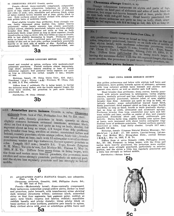 Figures 3–6