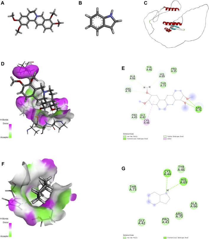 FIGURE 3