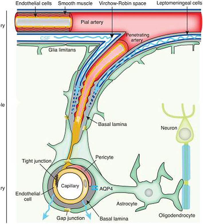 FIGURE 1
