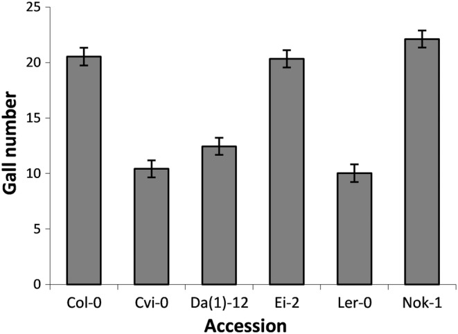 FIGURE 1