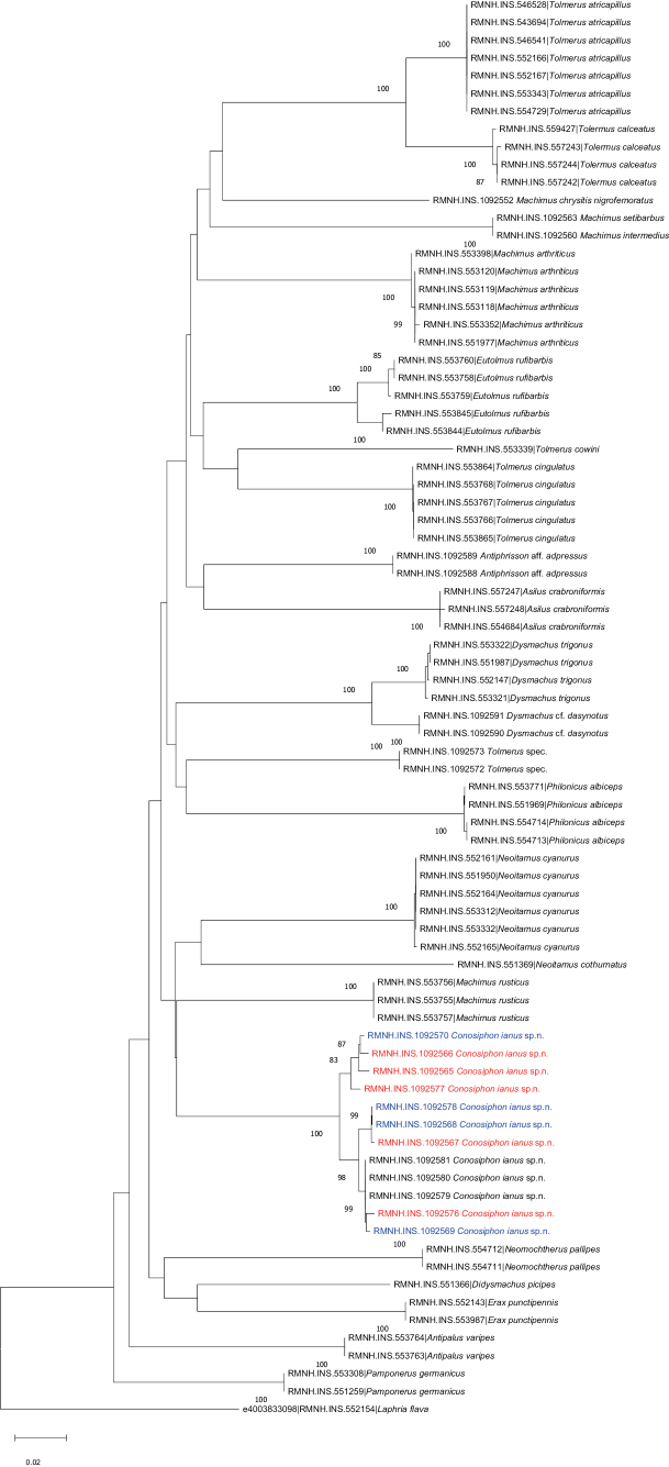 Figure 11