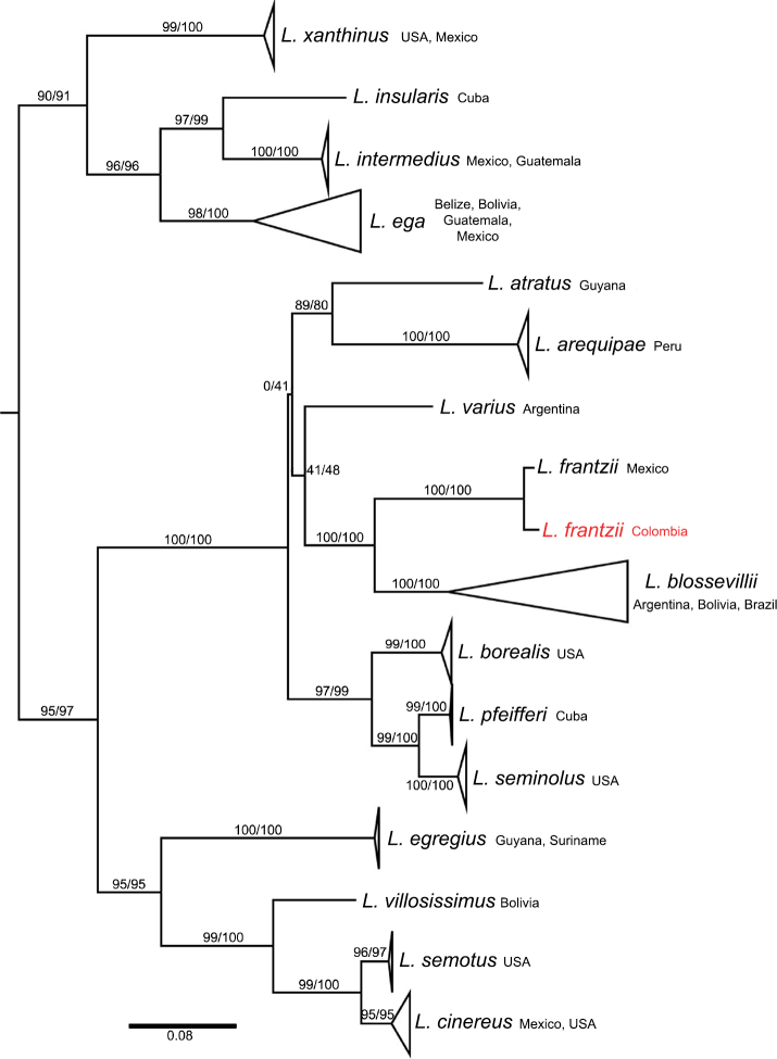 Figure 4