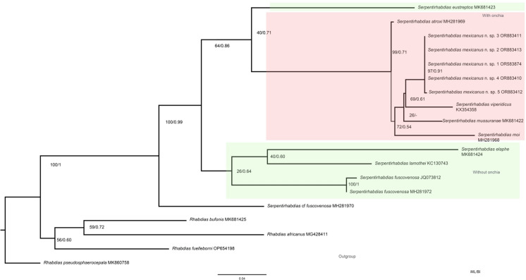 Figure 4