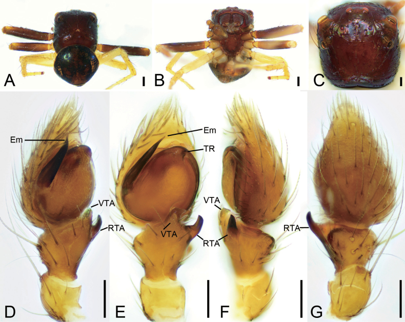 Figure 6