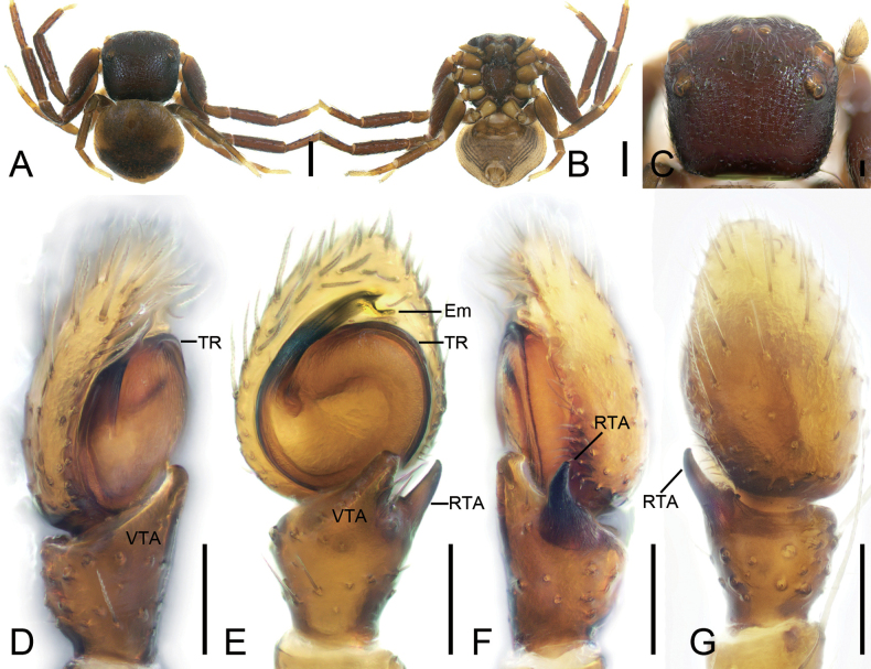 Figure 10