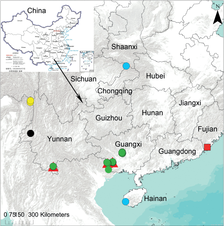 Figure 12