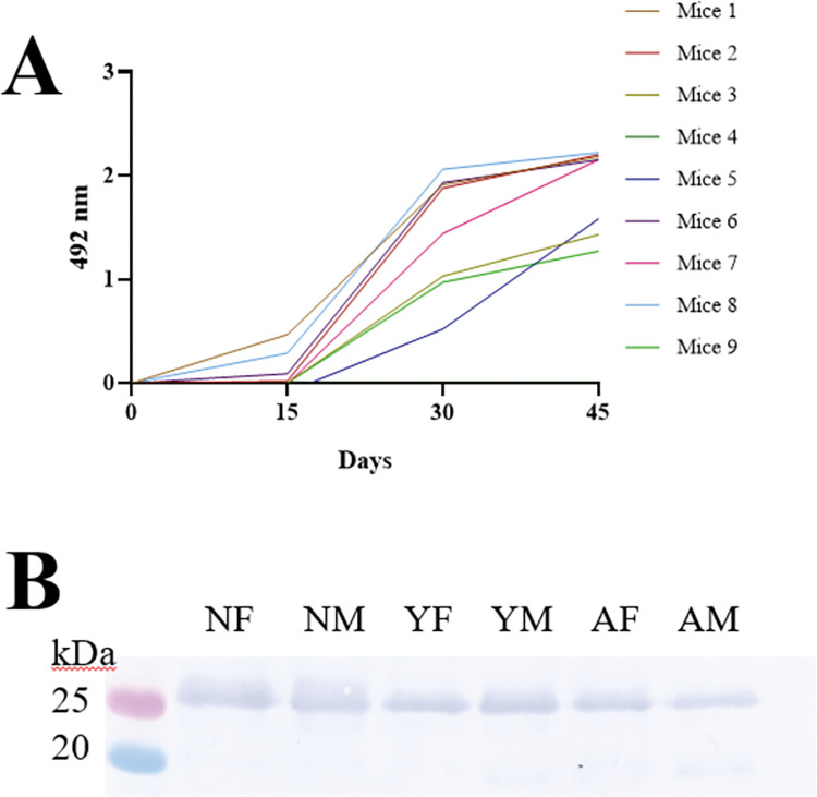 Fig 4