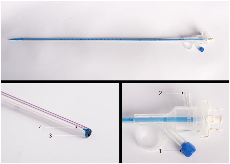 Figure 3
