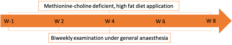 Figure 1