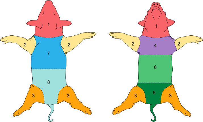 Figure 2