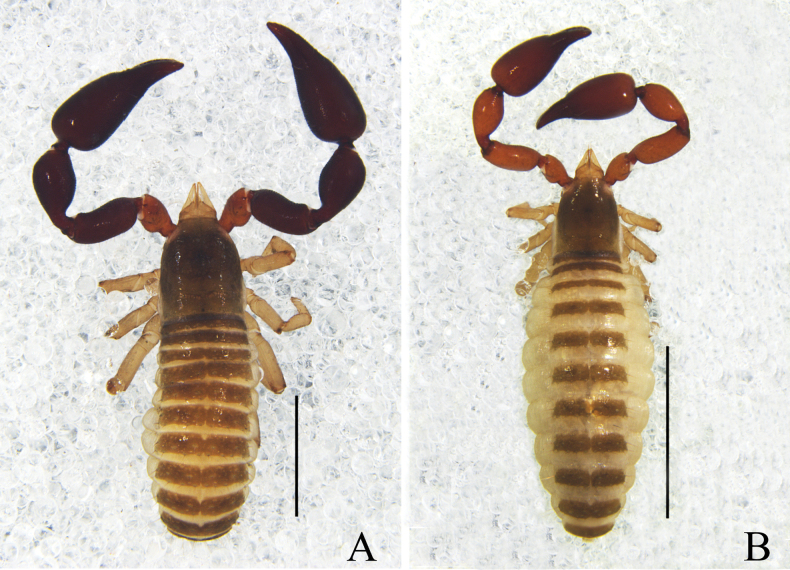 Figure 13