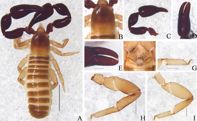 Figure 16
