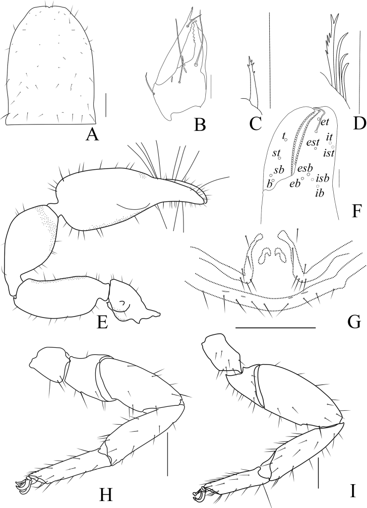 Figure 17