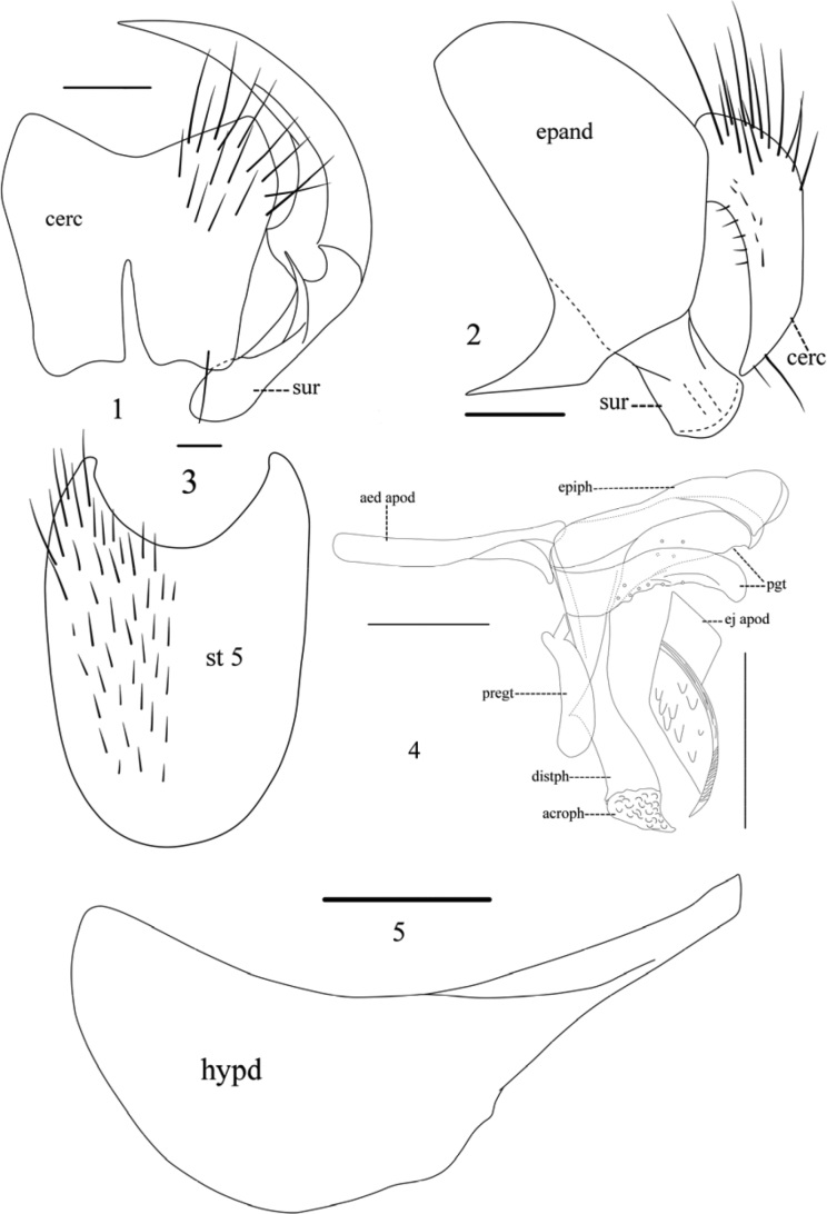Figures 1–5