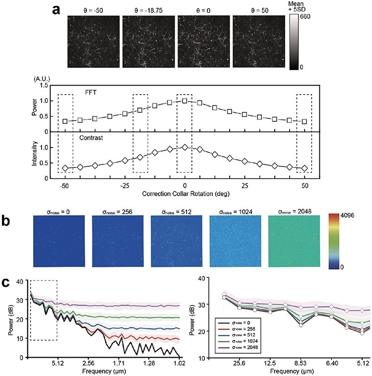 Fig. 3