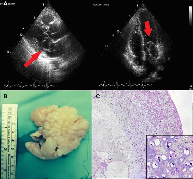 Figure 1