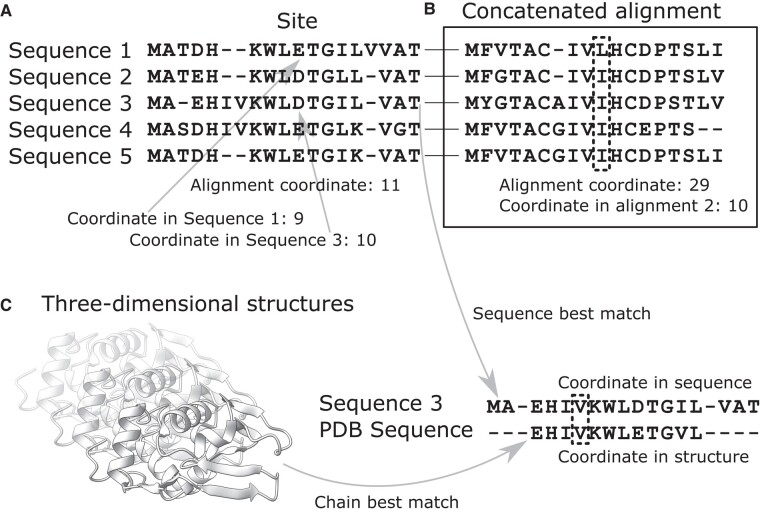 Fig. 2