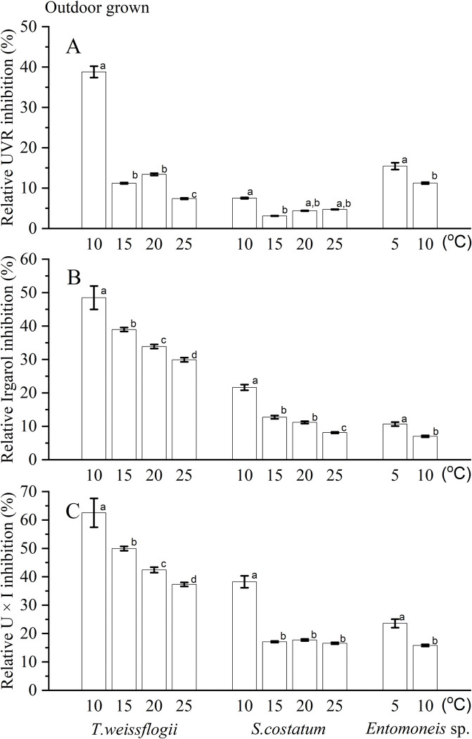 Fig 5