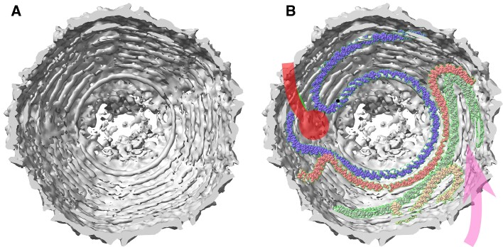 Figure 5