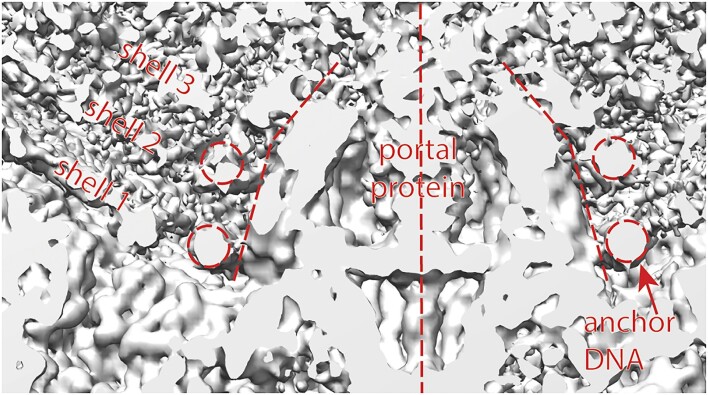 Figure 9