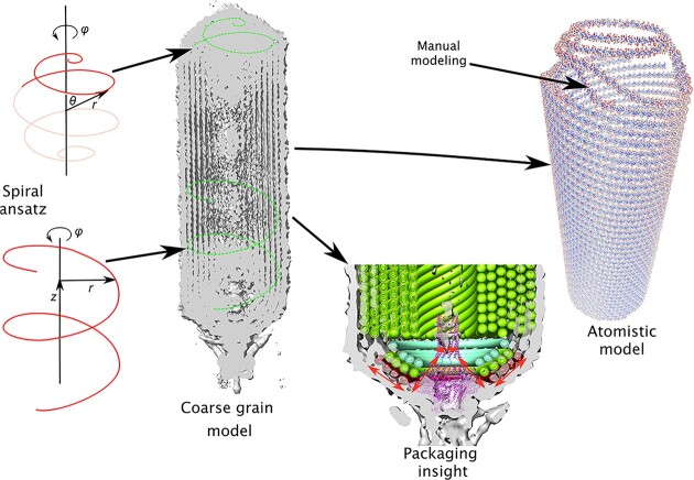 Figure 10
