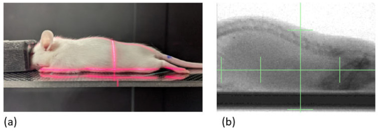 Figure 10