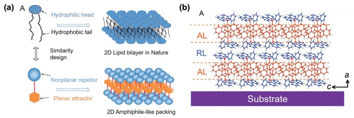 Figure 21