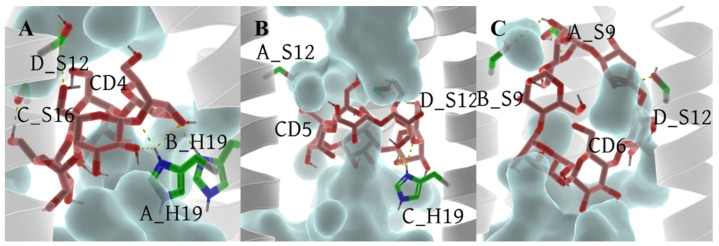 Figure 12