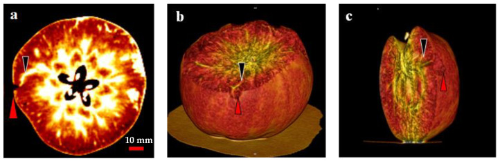 Figure 7