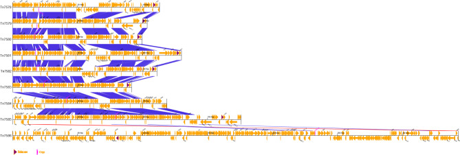 Figure 9
